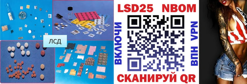 где купить наркотик  Берёзовка  ЛСД экстази ecstasy 